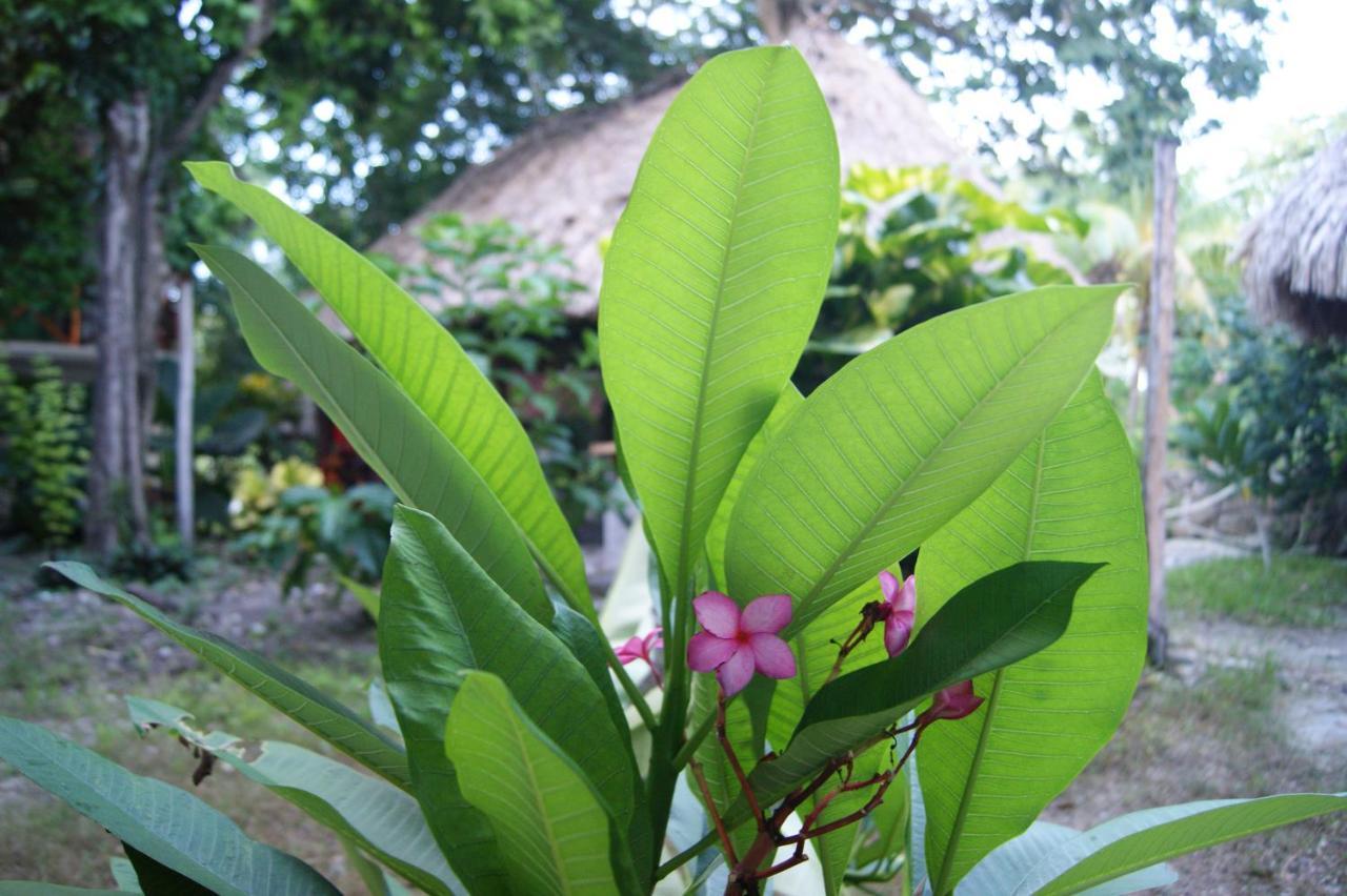 Hotel Pancho Villas Bacalar - Free Bikes And Paddles Exterior foto